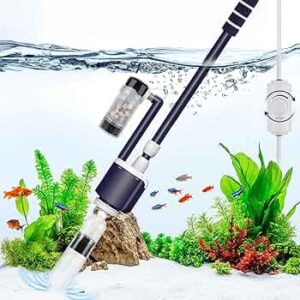 Fish Care & Maintenance
