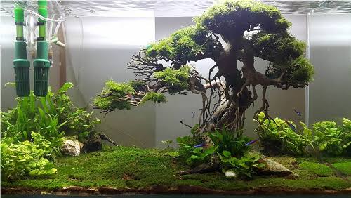 LED Aquarium Light